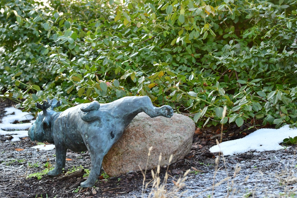 2026-01-08 Brandenburg an der Havel/Waldmöpse/DSC_2322.JPG